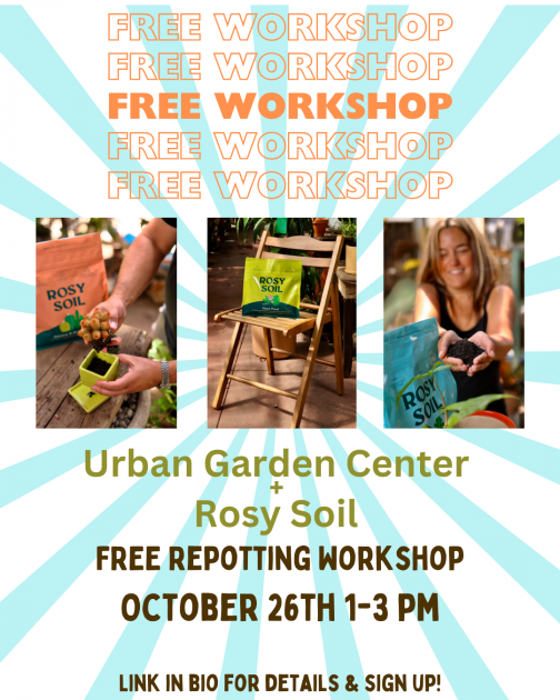 Rosy Soil poster about a free workshop with pictures of their bagged product