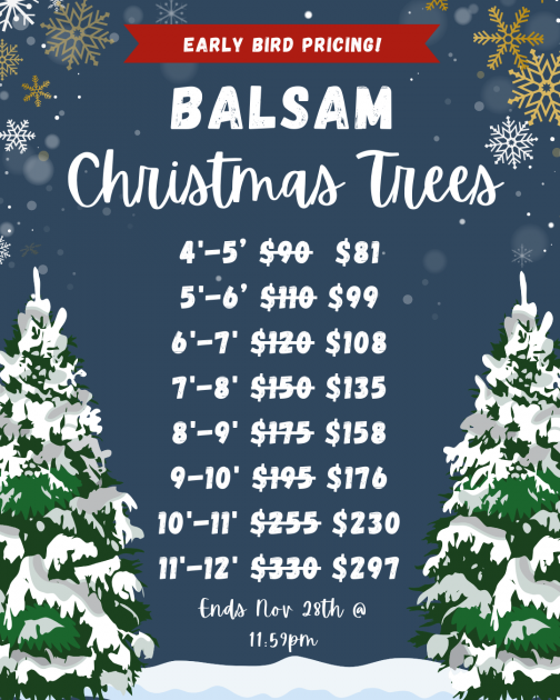 Christmas Tree Early Order Prices